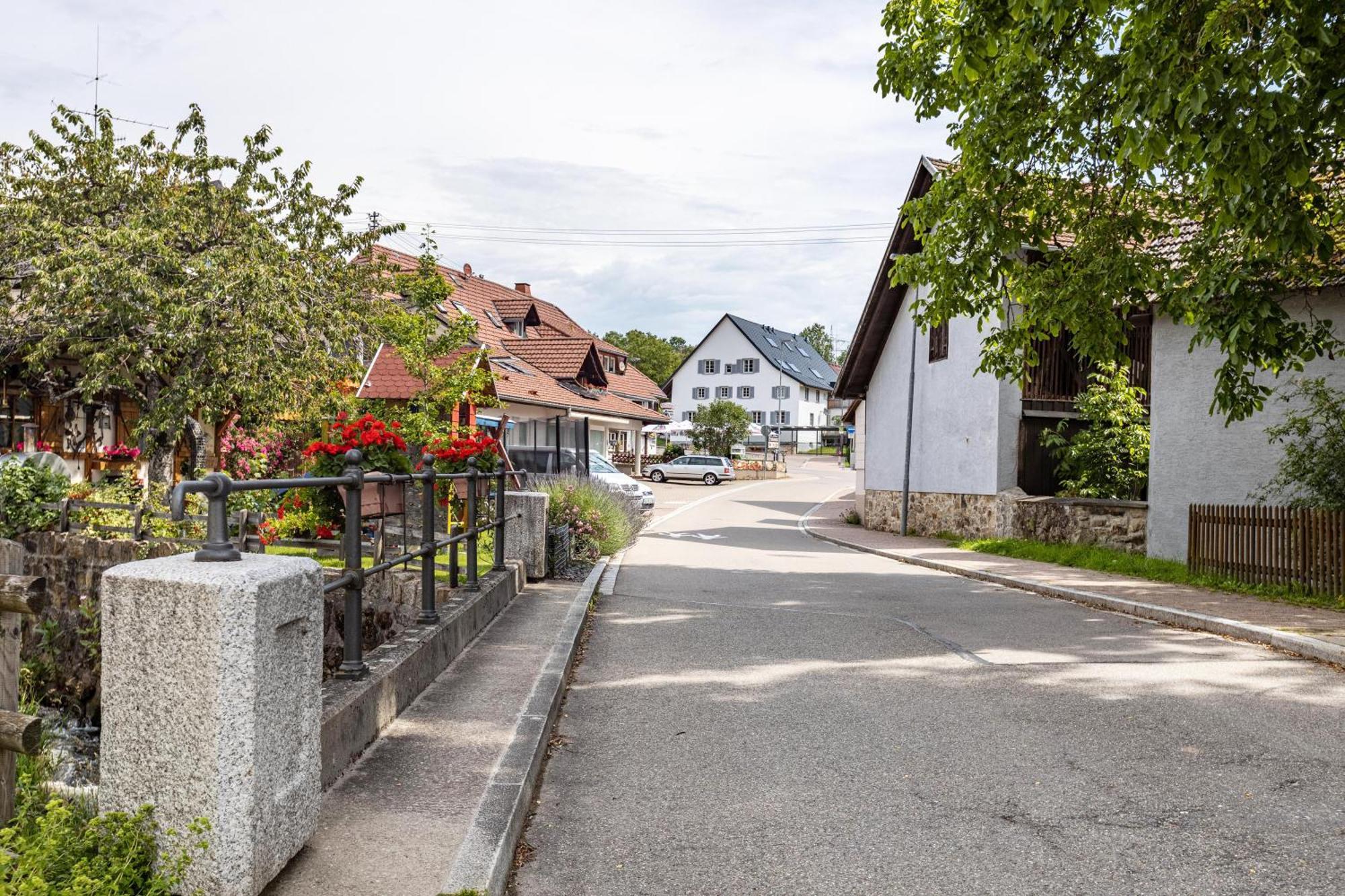 Ferienhaus Muelhaupt Uehlingen-Birkendorf Exterior photo